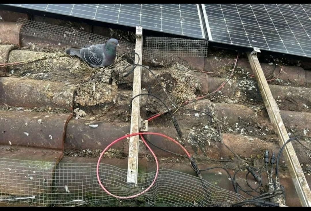 Pulizia professionale di pannelli fotovoltaici in villetta